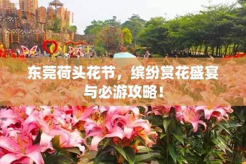东莞荷头花节，缤纷赏花盛宴与必游攻略！