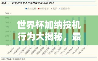 世界杯加纳投机行为大揭秘，最新动态与深度剖析