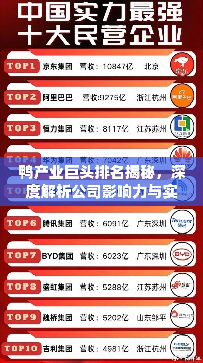 鸭产业巨头排名揭秘，深度解析公司影响力与实力