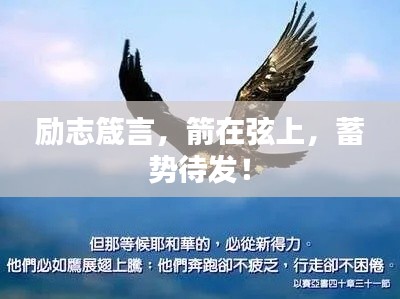 励志箴言，箭在弦上，蓄势待发！