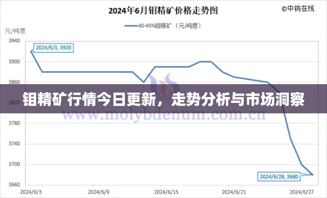 钼精矿行情今日更新，走势分析与市场洞察