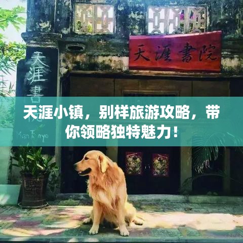 天涯小镇，别样旅游攻略，带你领略独特魅力！