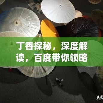 丁香探秘，深度解读，百度带你领略独特魅力！