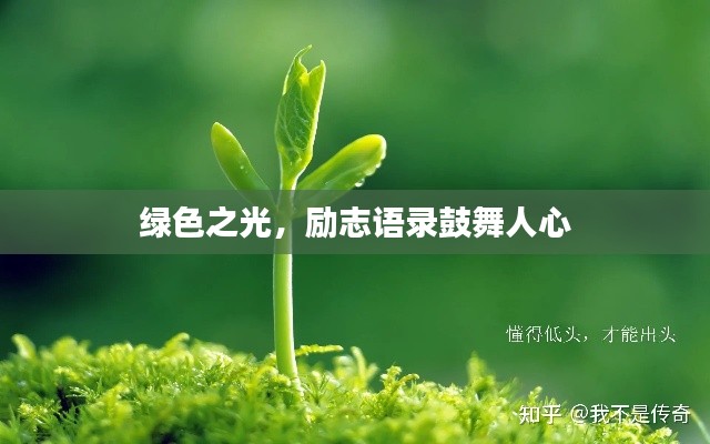 绿色之光，励志语录鼓舞人心