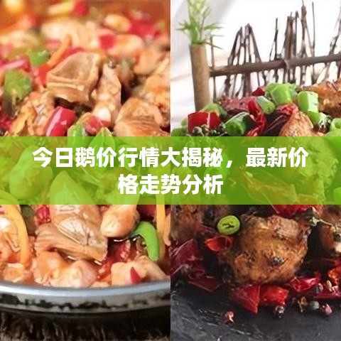 今日鹅价行情大揭秘，最新价格走势分析