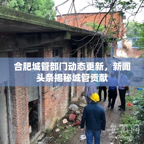 合肥城管部门动态更新，新闻头条揭秘城管贡献