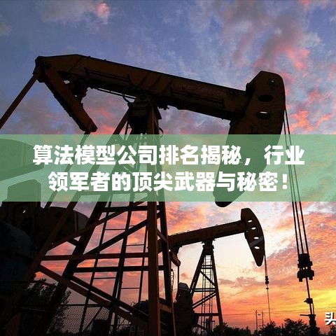 算法模型公司排名揭秘，行业领军者的顶尖武器与秘密！