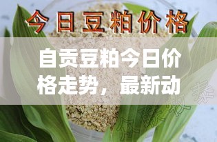 自贡豆粕今日价格走势，最新动态及市场分析