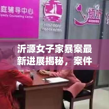 沂源女子家暴案最新进展揭秘，案件动态及后续关注