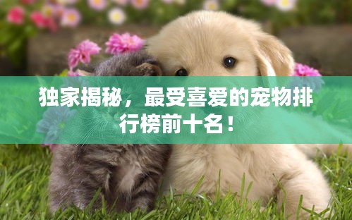独家揭秘，最受喜爱的宠物排行榜前十名！