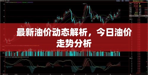 最新油价动态解析，今日油价走势分析