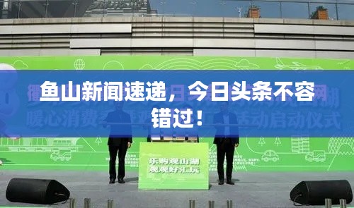 鱼山新闻速递，今日头条不容错过！