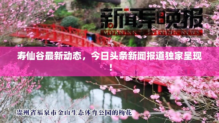 寿仙谷最新动态，今日头条新闻报道独家呈现！