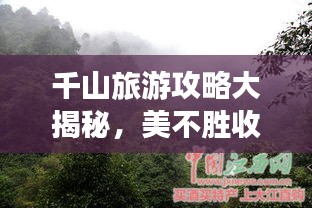 千山旅游攻略大揭秘，美不胜收，探索千山奇景！
