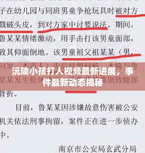 沅陵小孩打人视频最新进展，事件最新动态揭秘
