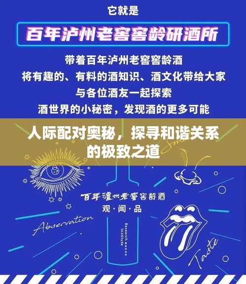 人际配对奥秘，探寻和谐关系的极致之道