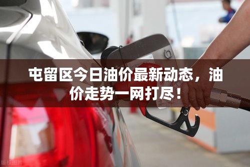 屯留区今日油价最新动态，油价走势一网打尽！