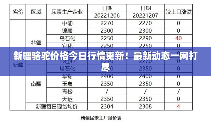 新疆骆驼价格今日行情更新！最新动态一网打尽