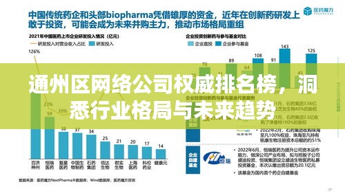 通州区网络公司权威排名榜，洞悉行业格局与未来趋势