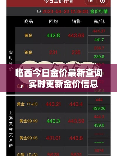 临西今日金价最新查询，实时更新金价信息
