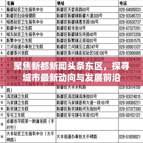 聚焦新都新闻头条东区，探寻城市最新动向与发展前沿