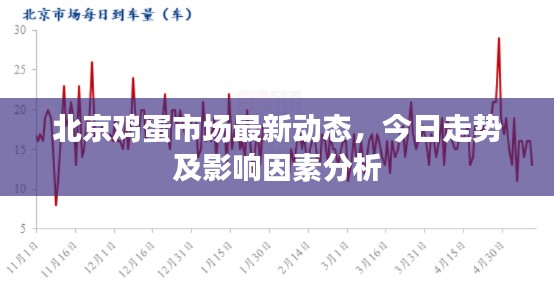 北京鸡蛋市场最新动态，今日走势及影响因素分析