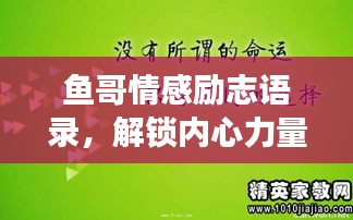 鱼哥情感励志语录，解锁内心力量之旅