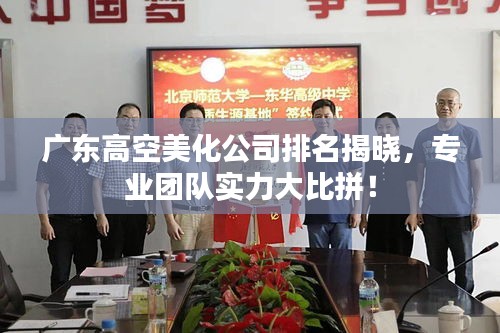 广东高空美化公司排名揭晓，专业团队实力大比拼！